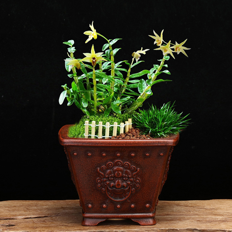 Cinese antico viola argilla Bo - Tagine Clay Pot recensione e prezzo